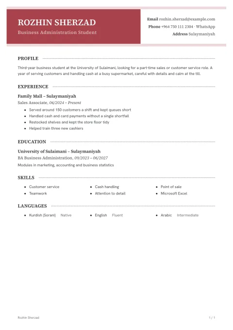 A CV in the Goyzha template
