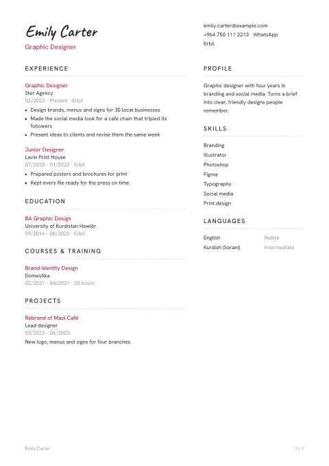 A CV in the Lisbon template