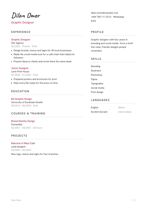 A CV in the Lisbon template