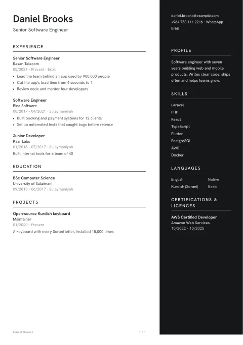 A CV in the Prague template