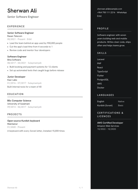 A CV in the Prague template