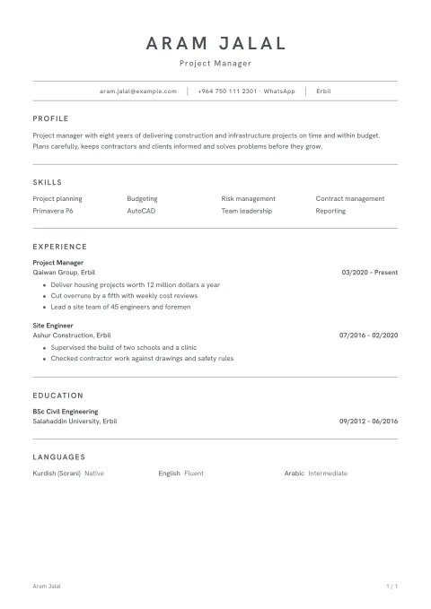 A CV in the Safin template