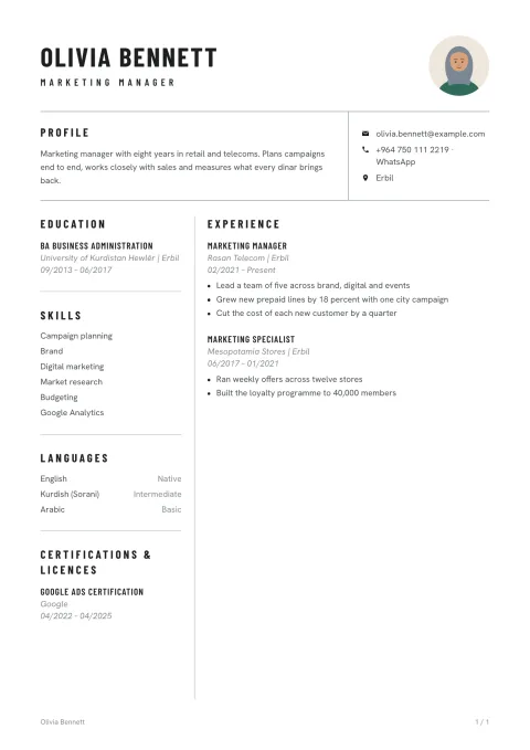 A CV in the Vienna template